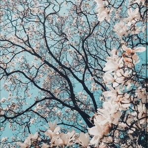 Meet your Posher, Margo